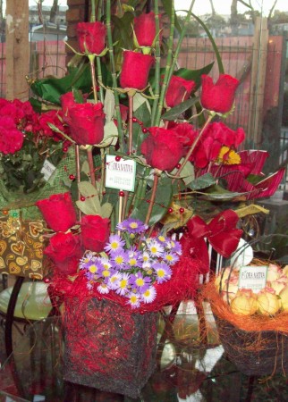 Vaso de Rosas